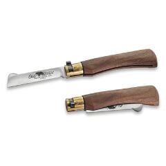 OLD BEAR 19 CM GRAFTING ASI CAKI CEVIZ SAP 7 1/2''M