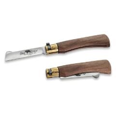 OLD BEAR 19 CM GRAFTING ASI CAKI CEVIZ SAP 7 1/2''M